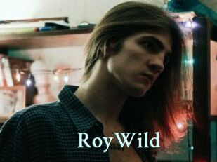 RoyWild