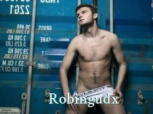 robingudx Ambiance Gay