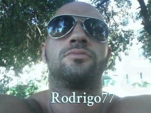 Rodrigo77