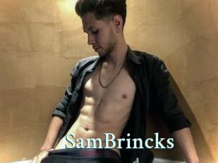 SamBrincks Ambiance Gay