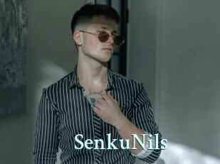 SenkuNils Ambiance Gay