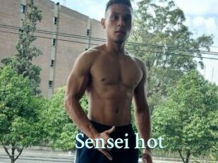 Sensei_hot