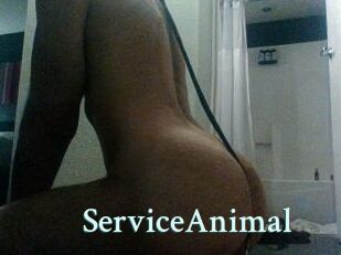 ServiceAnimal