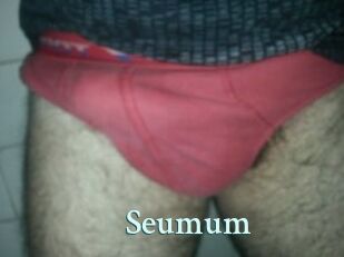 Seumum Ambiance Gay