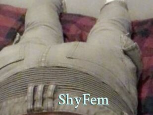 ShyFem