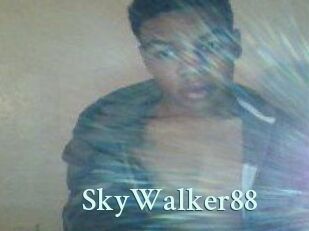 SkyWalker88