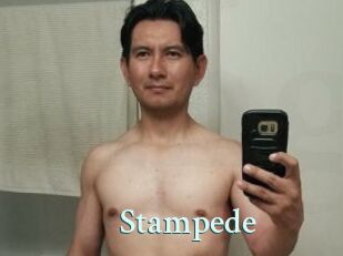 Stampede