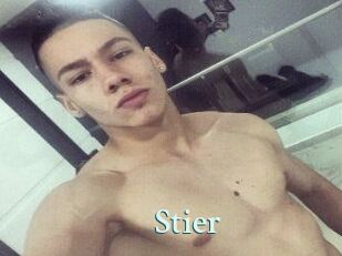 Stier