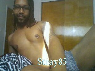 Stray85