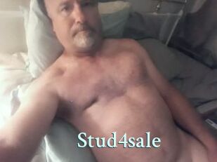 Stud4sale