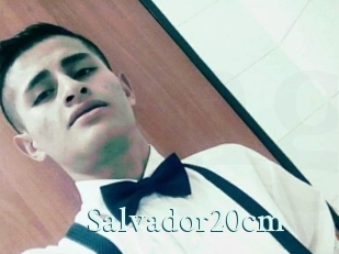 Salvador20cm