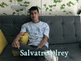 Salvatredelrey