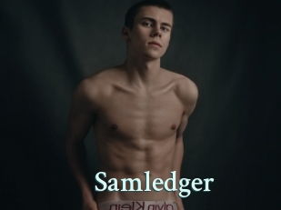 Samledger