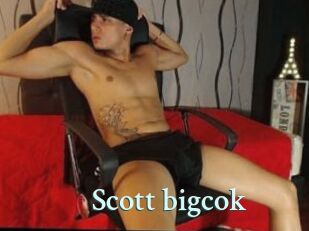 Scott_bigcok