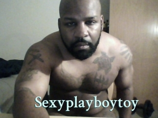 Sexyplayboytoy