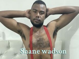 Shane_wadson