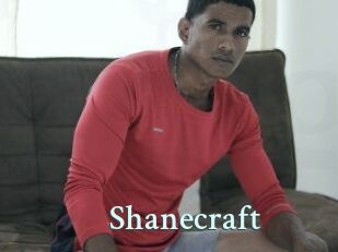 shanecraft Ambiance Gay