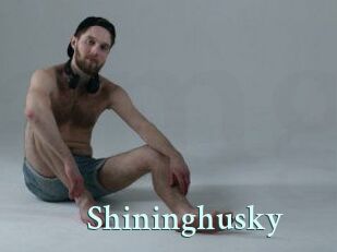 Shininghusky