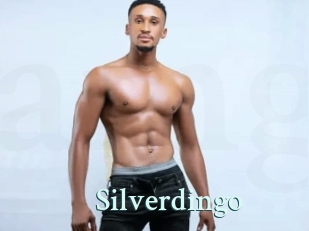Silverdingo