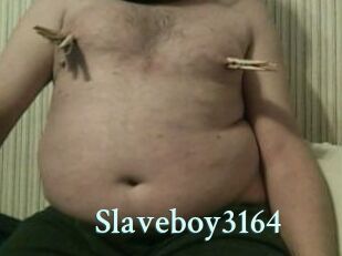 Slaveboy3164
