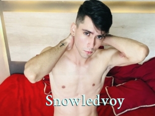 snowledvoy Ambiance Gay
