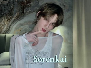 sorenkai Ambiance Gay