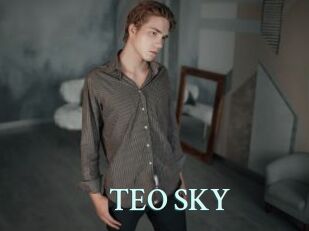 TEO_SKY