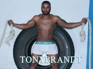 TONYBRANDT