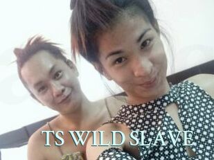 TS_WILD_SLAVE Ambiance Gay