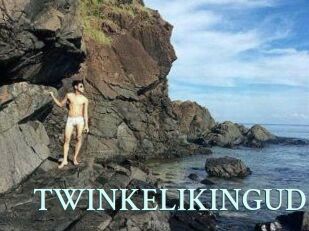 TWINKELIKINGUD