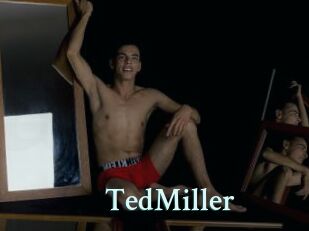 TedMiller Ambiance Gay