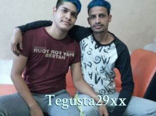 Tegusta29xx