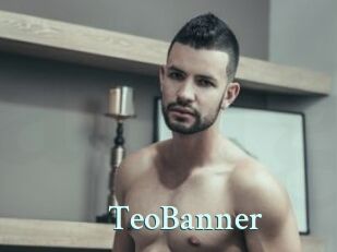 TeoBanner