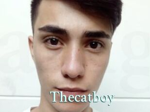 Thecatboy