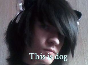 This_is_dog