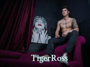 TigerRoss Ambiance Gay