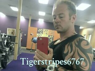 Tigerstripes6767