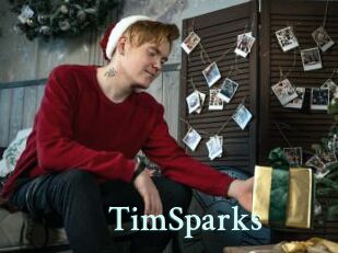 TimSparks
