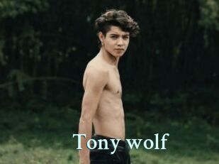 Tony_wolf