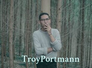 TroyPortmann Ambiance Gay