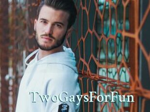 TwoGaysForFun