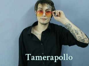 Tamerapollo