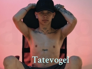 Tatevogel