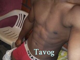 Tavog