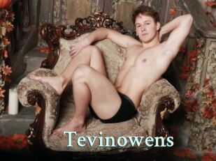 Tevinowens