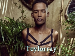 Teylorray