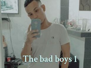 The_bad_boys_1