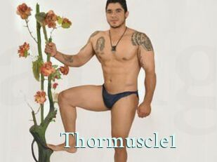 Thormuscle1