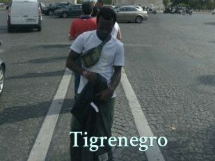 Tigrenegro