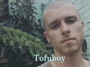 Tofu_boy